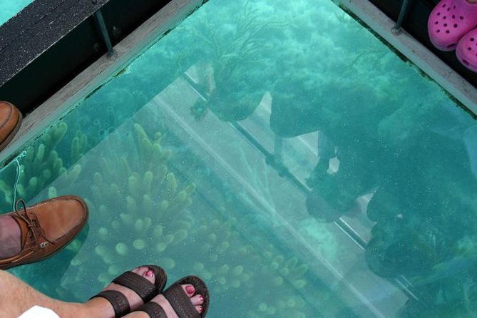 glass-bottom-boat-and-snorkeling-combo-in-bermuda