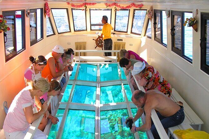 Glass Bottom Boat Excursion in Sharm El Sheikh - Introduction: Why the Glass Bottom Boat Excursion Stands Out