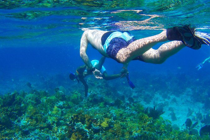glass-bottom-boat-ride-snorkeling-booby-cay-island-from-negril