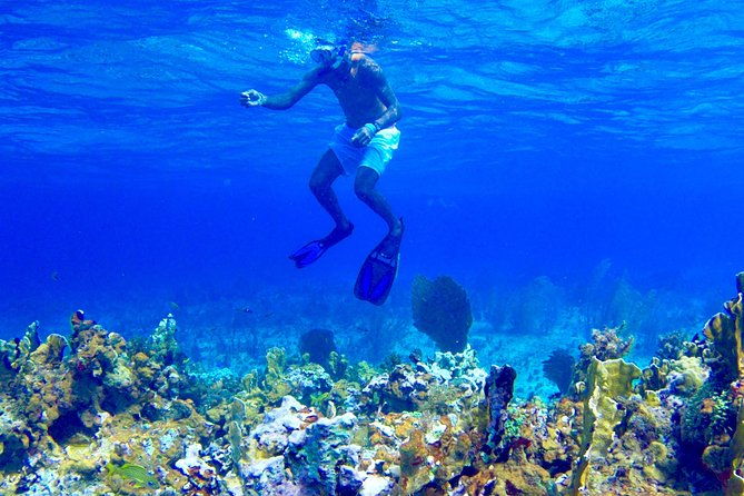 glass-bottom-boat-ride-snorkeling-booby-cay-island-from-negril