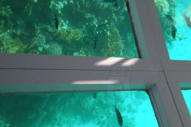 glass-bottom-boat-water-activity-in-montego-bay-jamaica