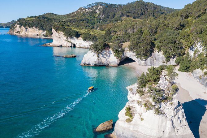 Glass Bottom Boat Whitianga Cathedral Cove Cruise - Why This Tour Might Be Perfect for You