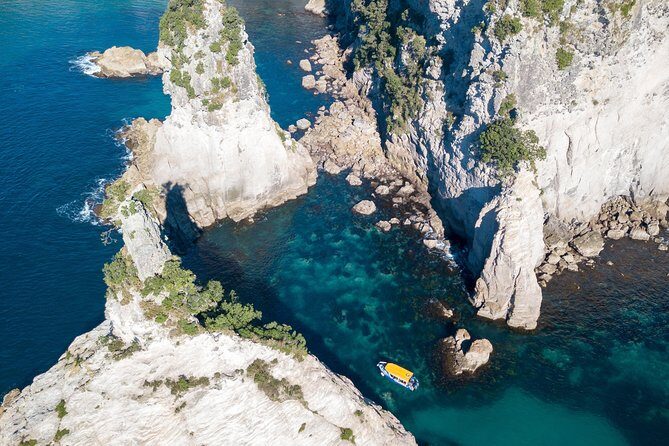 Glass Bottom Boat Whitianga Cathedral Cove Cruise - FAQ