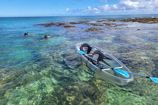 glass-bottom-kayak-guaranteed-to-see-turtles
