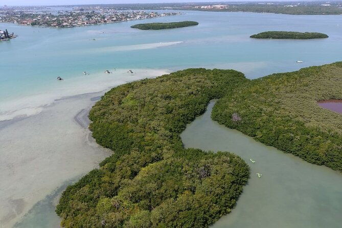 glass-bottom-kayak-mangrove-sandbar-adventure-in-st-pete-beach-2