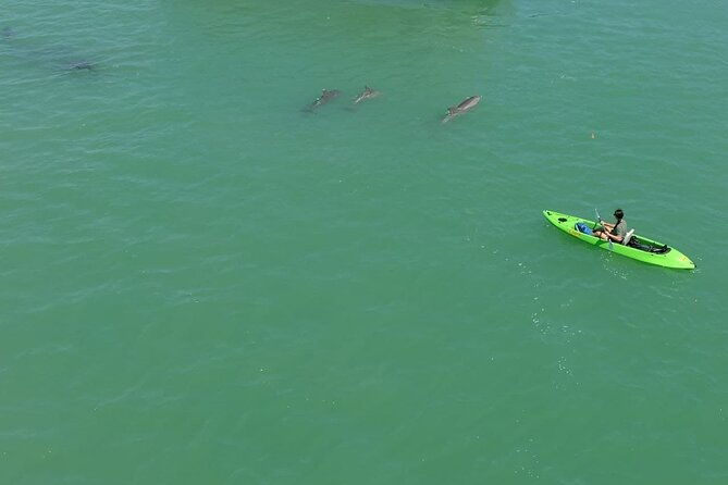 glass-bottom-kayak-mangrove-sandbar-adventure-in-st-pete-beach