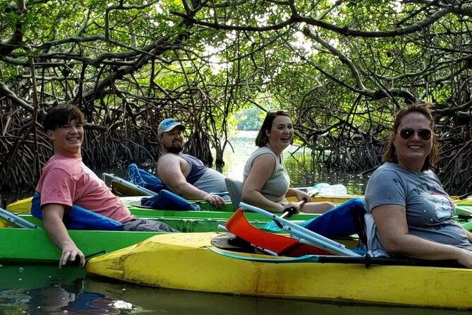 glass-bottom-kayak-mangrove-sandbar-adventure-in-st-pete-beach