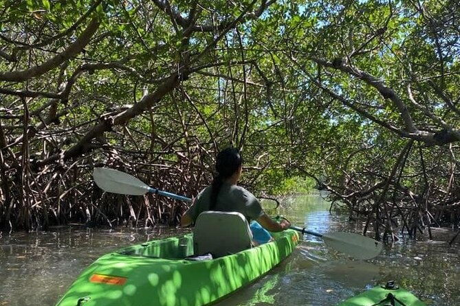 glass-bottom-kayak-mangrove-sandbar-adventure-in-st-pete-beach