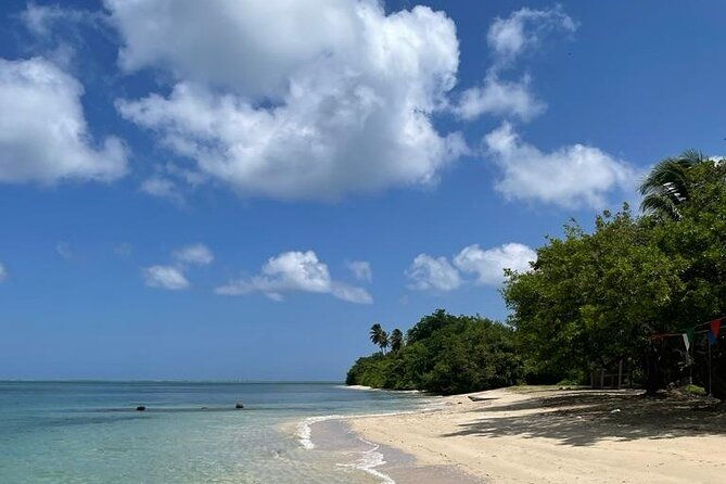 glass-bottom-nylon-pool-tour-in-buccoo-reef