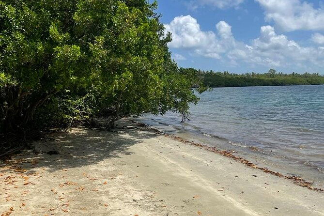 glass-bottom-nylon-pool-tour-in-buccoo-reef