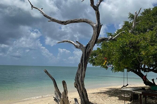 glass-bottom-nylon-pool-tour-in-buccoo-reef