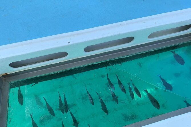 glassbottom-catamaran-with-slide