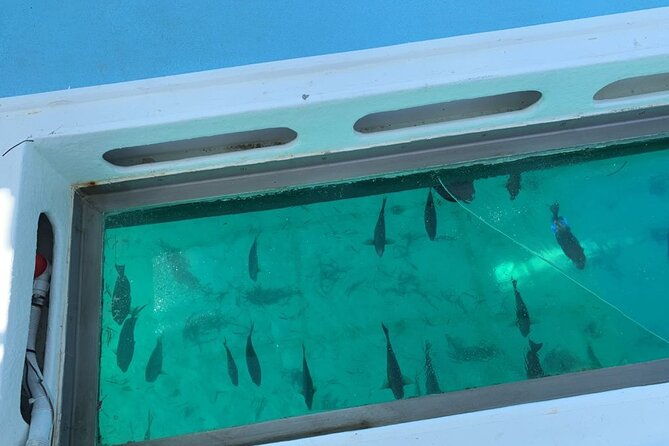 glassbottom-catamaran-with-slide