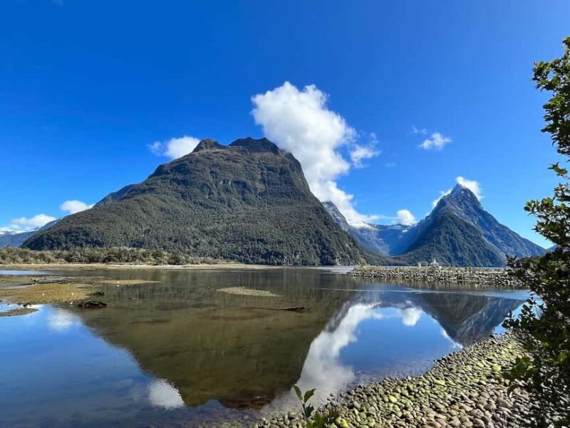 Glenorchy | Milford Sound Helicopter Tour & Scenic Cruise - Who Is This Tour Best For?