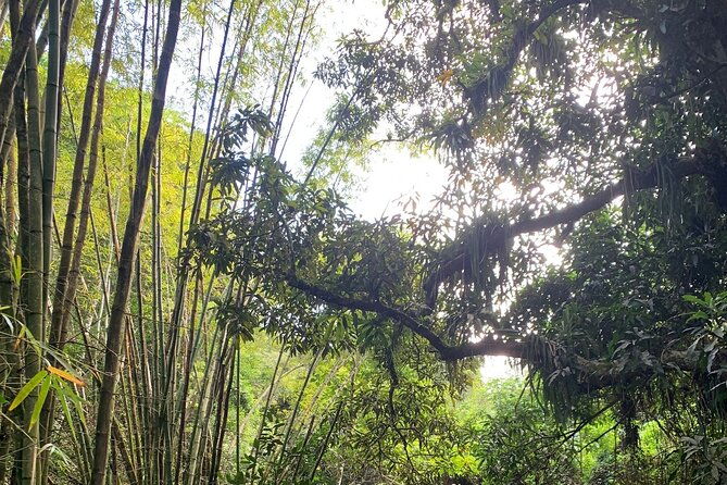 glide-into-adventure-hiking-and-natural-slides