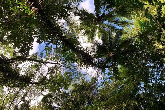 glide-into-adventure-hiking-and-natural-slides