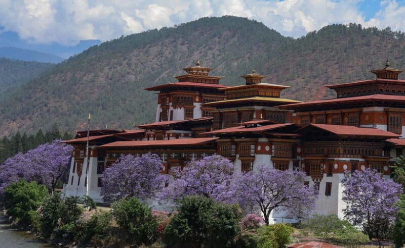 Glimpse of Bhutan - Why This Tour Works