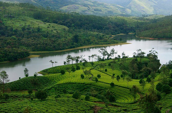 Glimpses of Kerala in 6 days Private Tour with Sanguine Holidays - FAQ