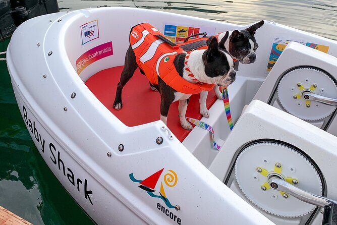Glow Nightime Pedal Boat Rental in San Diego Bay - FAQ