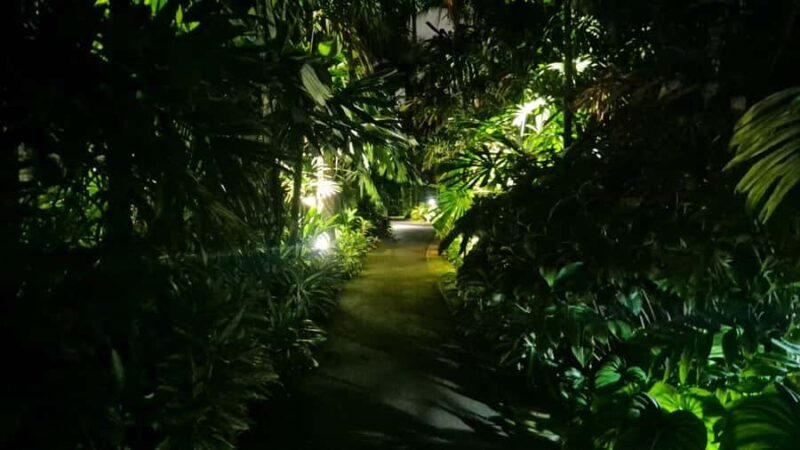 Glow with the Flow: Singapore's Illuminated River Experience - Key Points