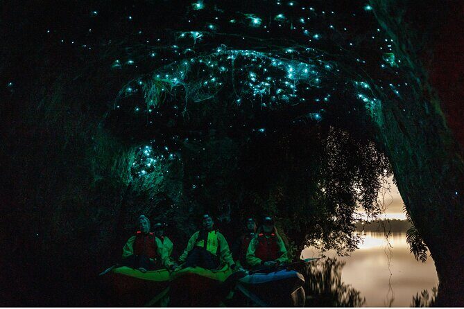 Glow Worm Adventure Kayak - What You Can Expect from the Glow Worm Adventure Kayak Tour