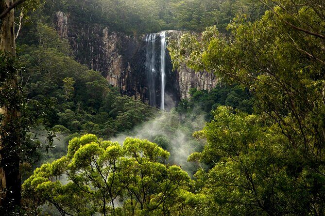 Glow-worms, Waterfalls & Rainforest Experience - Final Thoughts