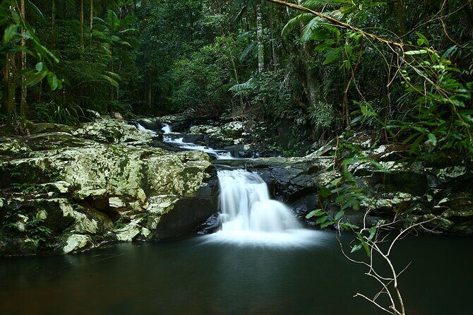 Glow-worms, Waterfalls & Rainforest Experience - FAQ