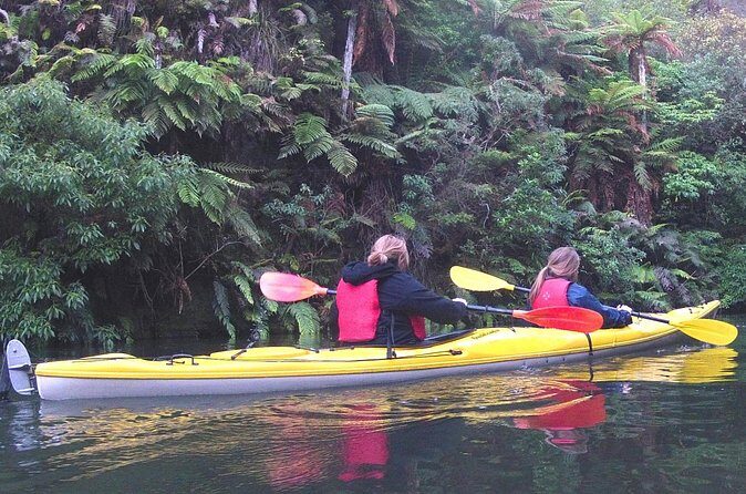 Glowworm Kayak Adventure on the Waikato River - Who Would Love This Tour?