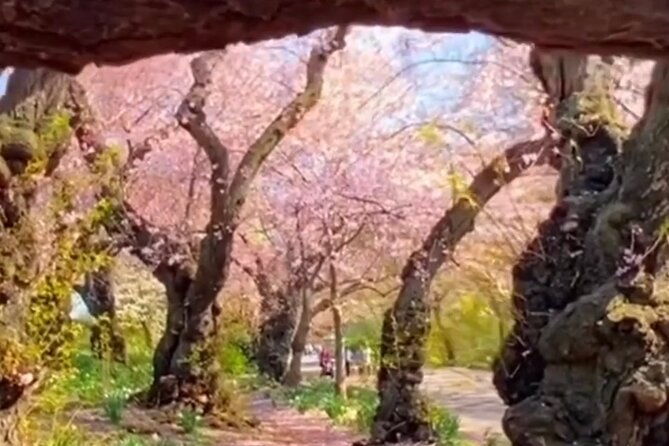 gluten-free-walking-tour-of-central-park-nyc