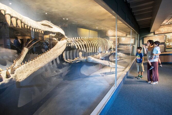 go-city-boston-explorer-pass-choose-2-3-4-or-5-attractions