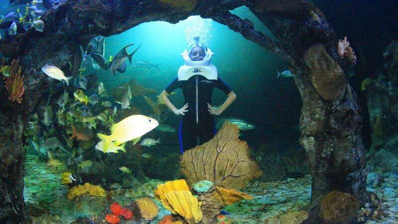 Go City Cancun Pass: Save up to 50% - Includes Chichén Itzá - Final Thoughts  