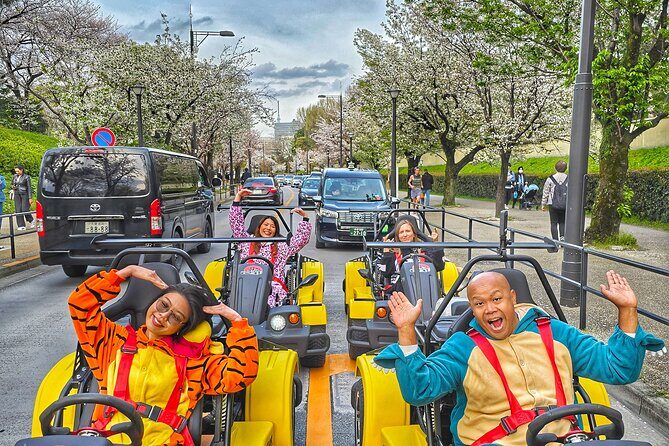 Go Kart Tokyo Spring Tour Experience - Who Will Love This Tour?