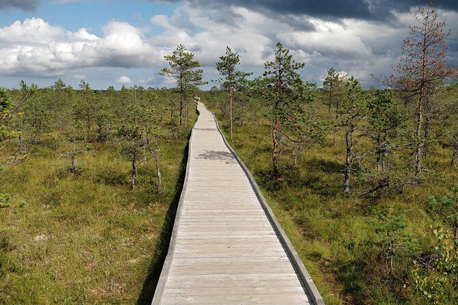 Go North  Private 1 Day Trip to Estonian Nature - Why Choose This Tour?
