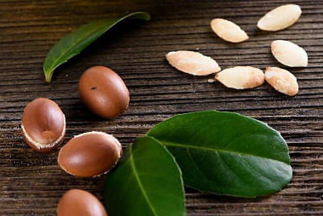 Go Rolaxe Go Massage and Spa with argan oil ® - A Closer Look at the Experience