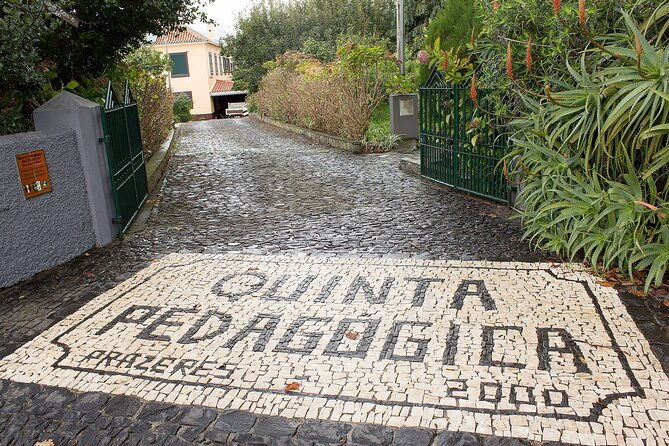 go-south-tour-madeira-island-excursion