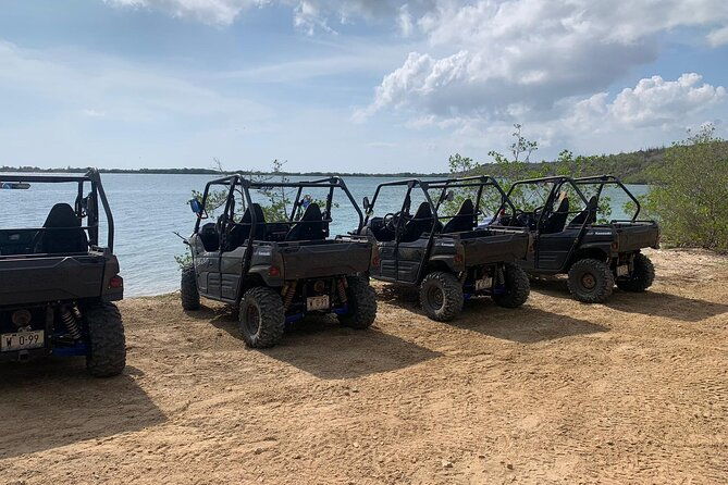 go-west-buggy-adventure