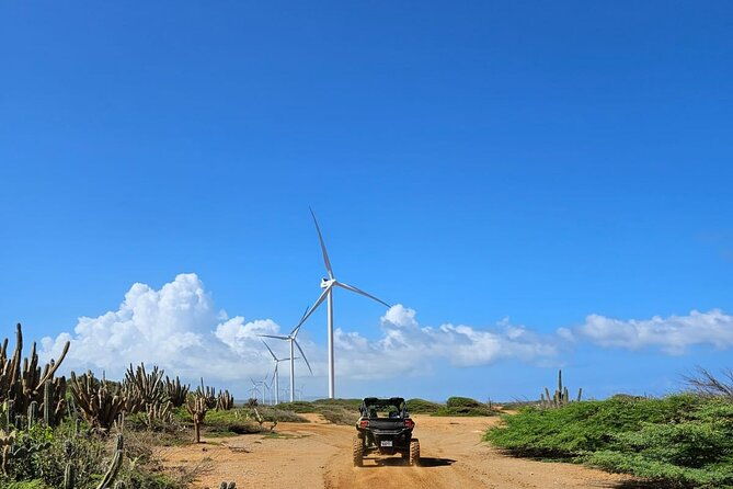 go-west-buggy-adventure