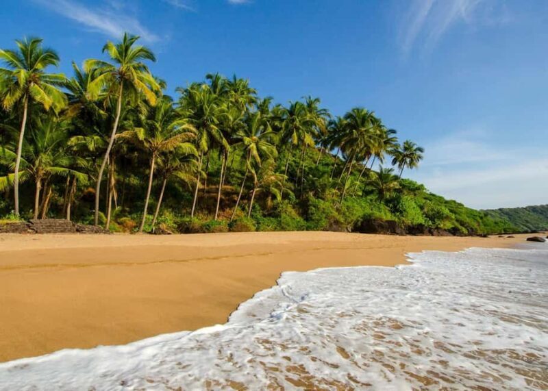 Goa: 5-Day Beaches, Forts, and Heritage Tour - Exploring the 5-Day Beaches, Forts, and Heritage Tour in Goa