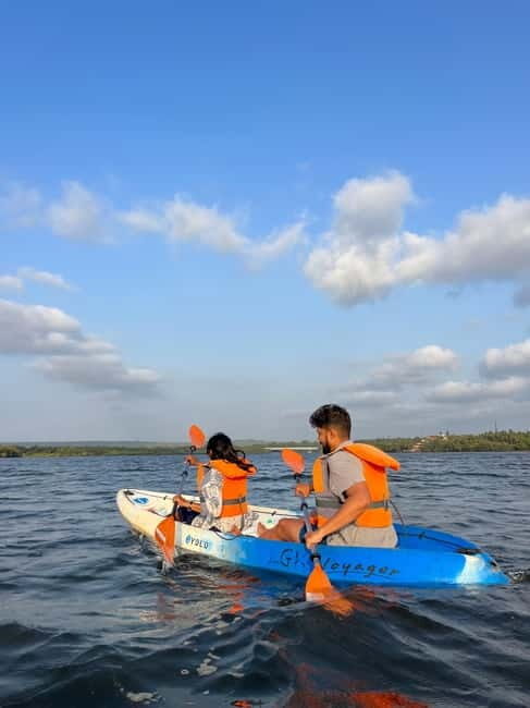 Goa: Backwater Kayaking Tour - Key Points