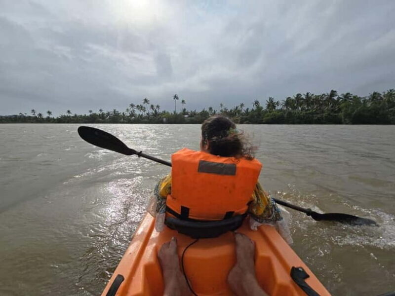 Goa: Backwater Kayaking Tour - Authentic Reviews and Insights