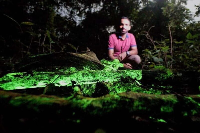 Goa: Bioluminescent Forest Night Trail with Guide - Who Will Love This Experience?