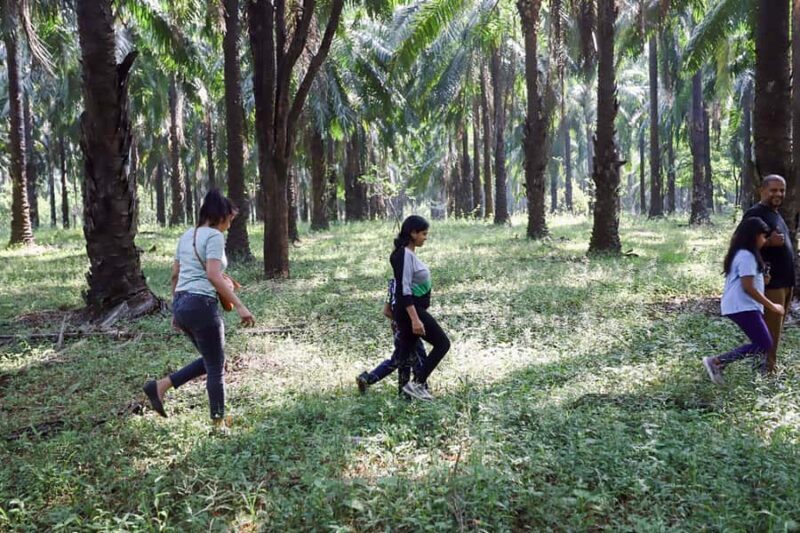 Goa: Forest and River Trail with local Breakfast and Lunch - FAQ