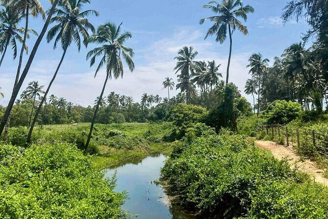 Goa: Harvalem Waterfall & Spice Plantation Join Tour - Overview of the Experience