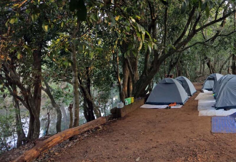 Goa :Overnight Camping, BBQ, Dinner, Night Trek, & Breakfast - Night Trek & Wildlife Spotting
