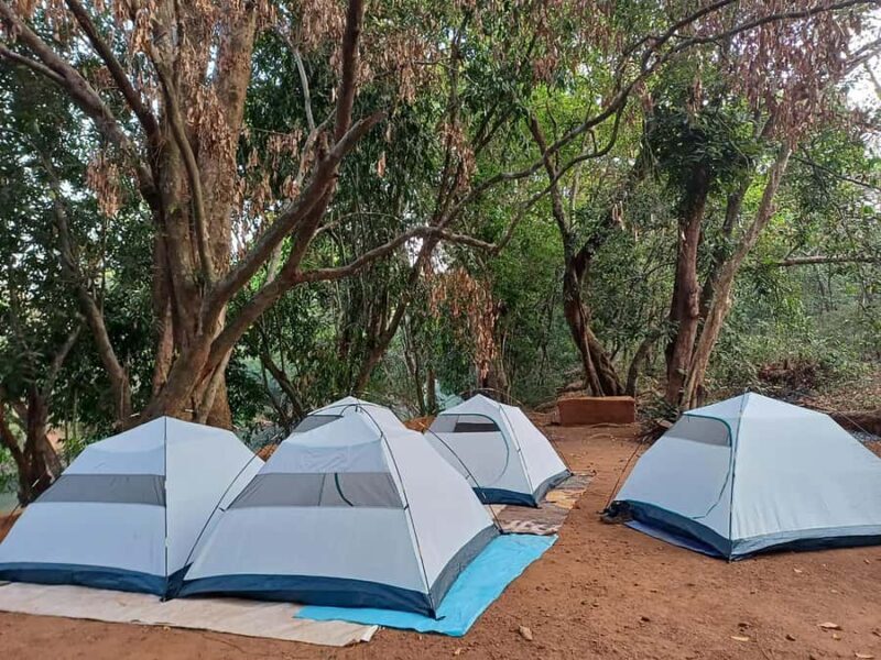 Goa: Overnight Camping with BBQ, Abseiling, and Breakfast - Goa: Overnight Camping with BBQ, Abseiling, and Breakfast