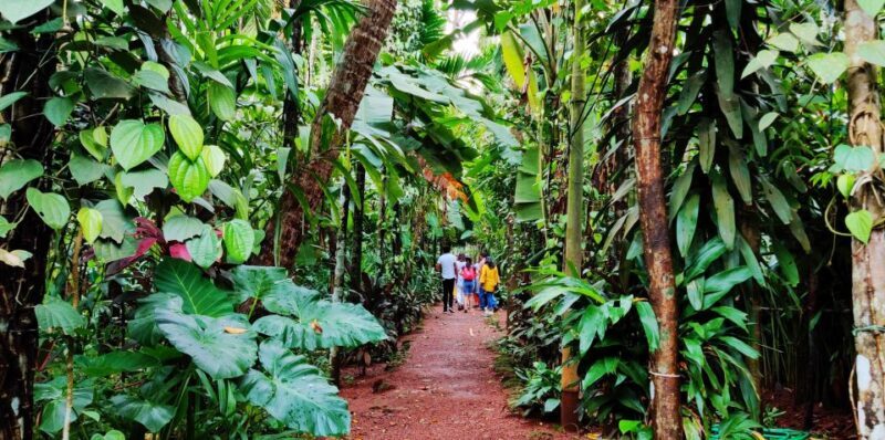 Goa: Private Full-Day Sightseeing Highlights Tour - Spice Plantation: An Aromatic Detour