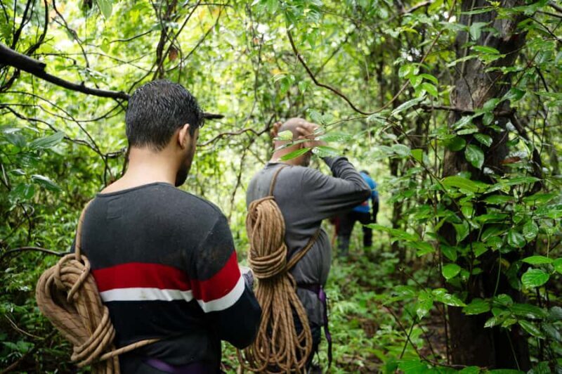 Goa: Riverside basic Adventures with Abseiling and Lunch - Why This Experience Packs a Punch