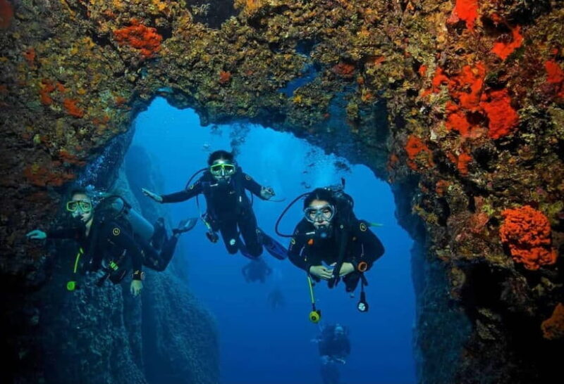 Goa: Scuba Diving Combo Package in Grand Island - Key Points