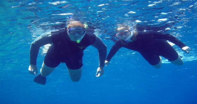 Goa: Scuba Diving Combo Package in Grand Island - Introduction: What You Can Expect from the Goa Scuba Diving Combo
