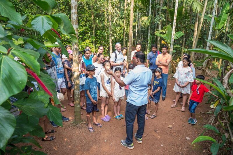 Goa Shore excursions : All inclusive Small Group tour - Who Will Love This Tour?